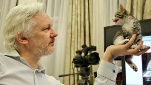 WikiLeaks, «русские хакеры» и АНБ: почту штаба Клинтон вскрыли добровольцы