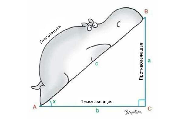 Почему российское онлайн-обучение проигрывает западному