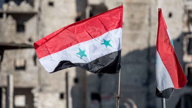 Проект конституции Сирии на встрече с Асадом не обсуждался — депутат