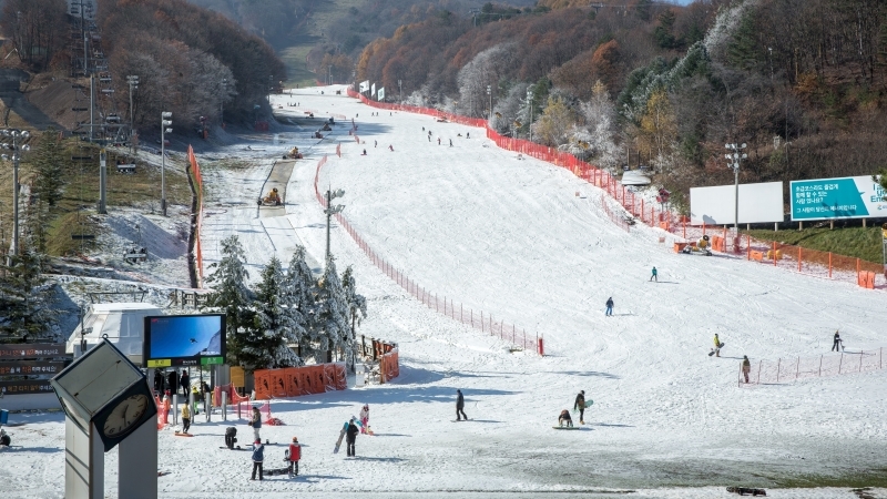 Российским лыжникам подготовят научные рекомендации к ОИ-2018 в Корее