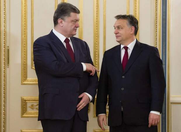Киев угрожает Будапешту взять украинских венгров в заложники