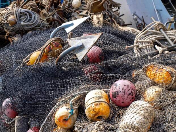 Задержание украинских браконьеров: как связана блокировка судна ЯМК-0041 в Черном море с рыбаками «Норда»