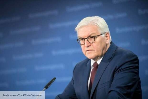 Переговоры по «Северному потоку-2» - это не уровень Штайнмайера, он будет давить на Порошенко по миротворцам: зачем президент Германии едет на Украину