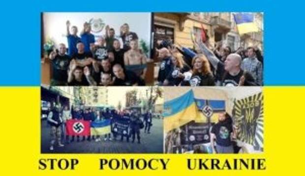 В Польше требуют принятия срочных мер по украинцам