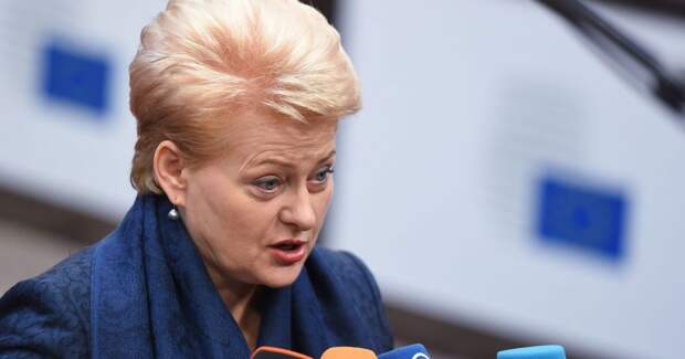 Европа ошеломила Литву своими заявлениями: Грибаускайте в тупике - Россия теперь друг