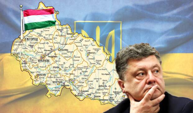 Украина решила пойти против Венгрии