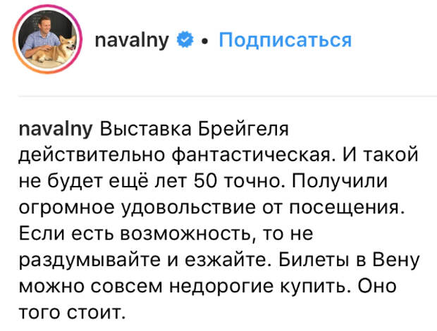 Социальная зависть к кедам и Брегель от Навального