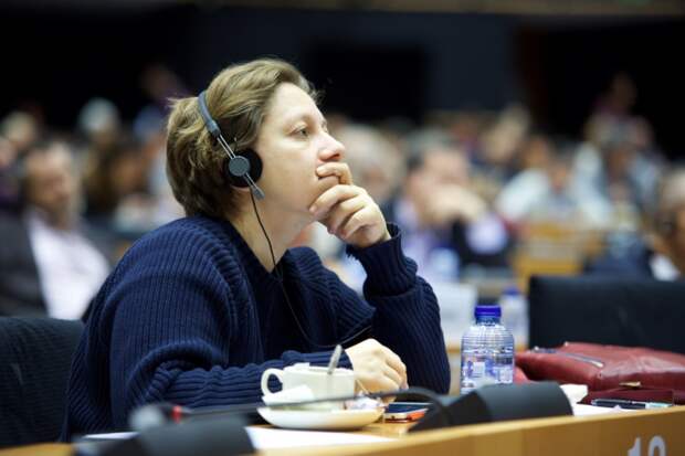 Депутат Европарламента: ЕС лжет, выдавая Украину за пример демократии
