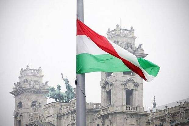 Хвост прищемили, или как Венгрия США на Украину жаловалась