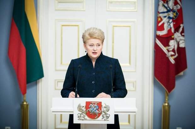 В Госдуме ответили Литве на ее предложение ввести санкции против Российских портов