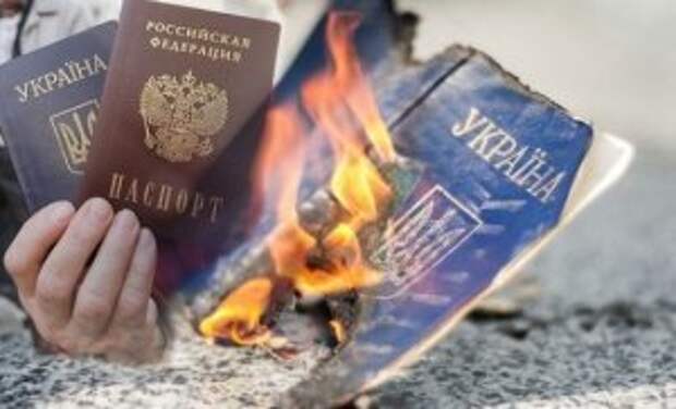 Упрощение получения гражданства России - формальность на бумаге или реальная помощь? Кого затронет закон и какие «скидки» ждут жителей ЛДНР и Украины
