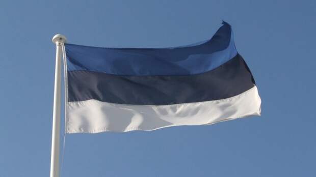 Эстония может заявить права на российские земли
