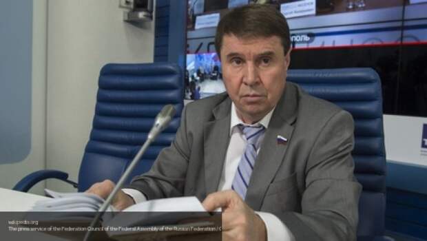 Российский сенатор оценил идею Климкина заменить «Бессмертный полк» на Украине