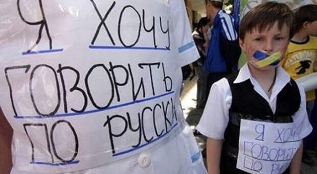 Новый закон вступил в силу: русскому языку на Украине пришёл конец?