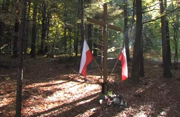 В Польше массово опрашивают очевидцев Волынской резни