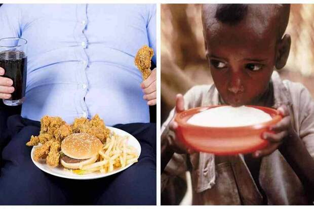 Что убьет мир - голод или ожирение?