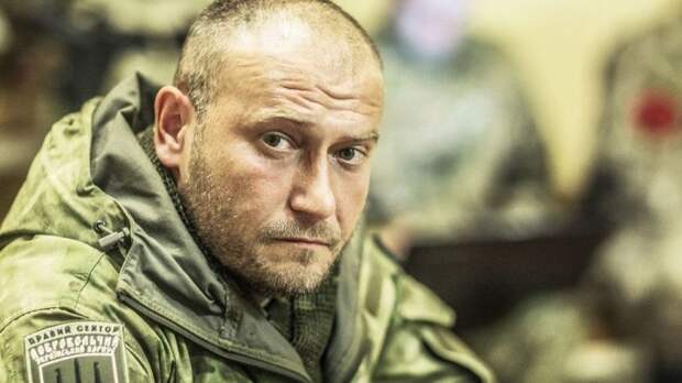 Последние выпады украинских националистов говорят о «предсмертных конвульсиях» радикализма