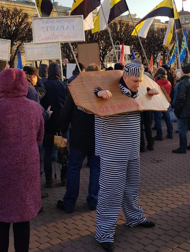 семейно-бытовое насилие ложь, алена попова, нко, иностранное вмешательство