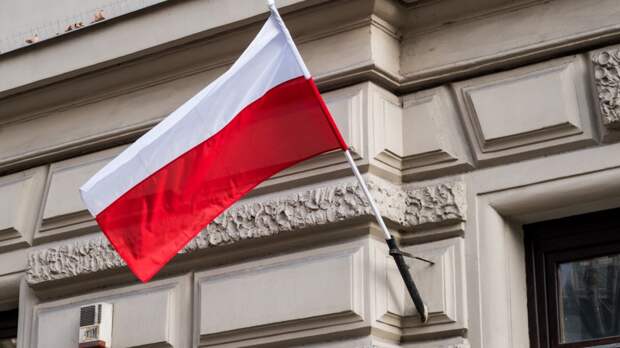 Сатановский объяснил запоздалую реакцию МИД Польши на слова Путина