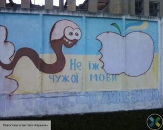 Жители Донецка резко высказались о запрете русскоязычных школ на Украине