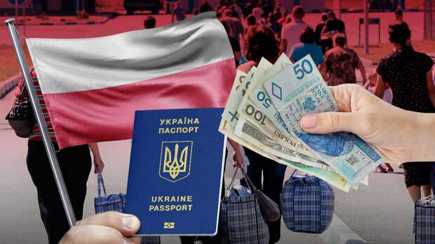 Украинцы в Польше: сколько зарабатывают, тратят, где ищут работу