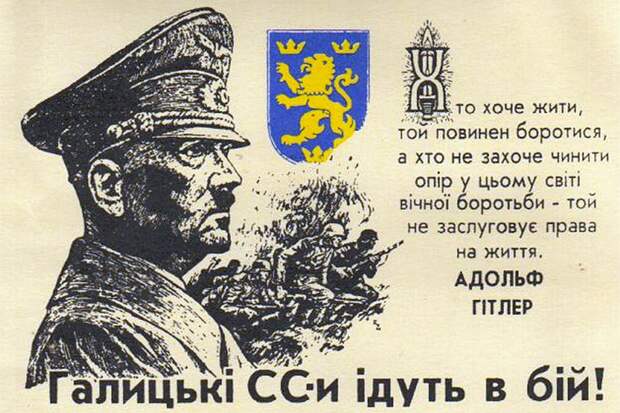 Давно пора: на Украине символика дивизии СС «Галичина» признана нацистской