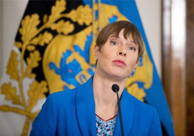 Бунт в Прибалтике: Президент — лгунья и лоббистка извращенцев должна уйти, — глава Минфина