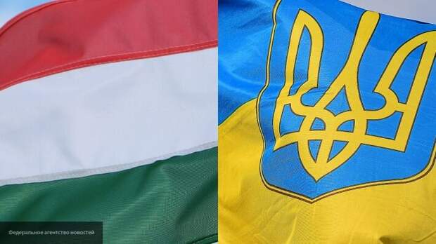 Решение Киева по Закарпатью возмутило Донбасс: венгры будут претендовать на часть Украины