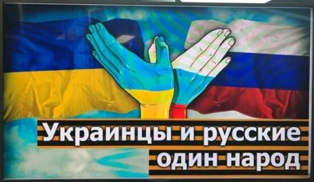 Украинцы с радостью восприняли предложение Цекова раздавать паспорта РФ гражданам Украины