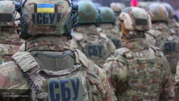 Украинская война со здравым смыслом: СБУ ведет борьбу с медалями Великой Победы