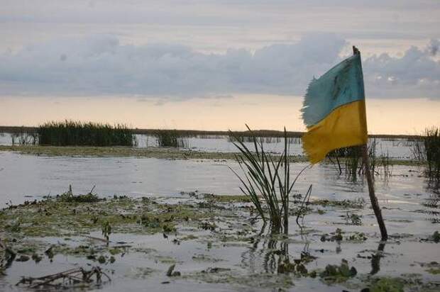 Открытое неподчинение Киеву: демарш регионов подводит Украину к краху