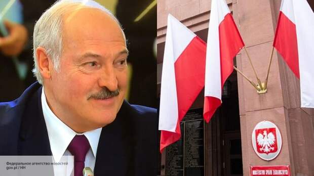 Бредихин: В Польше могут создать правительство Беларуси в изгнании