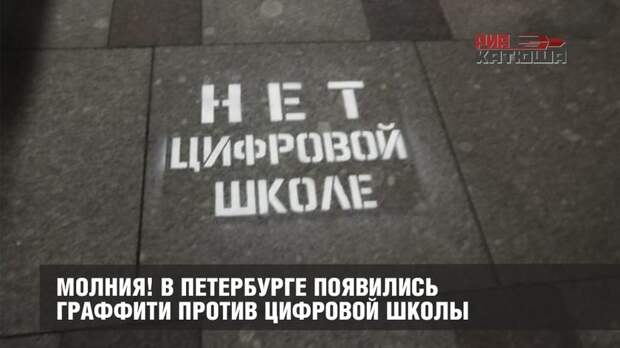 В Петербурге появились граффити против цифровой школы
