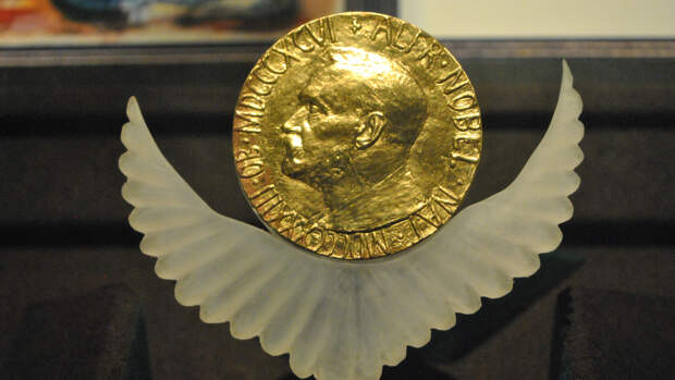 Вассерман заявил, что Нобелевская премия мира не заслуживает Путина
