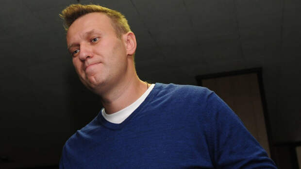 Карнаухов назвал признаки участия в отравлении Навального спецслужб Запада
