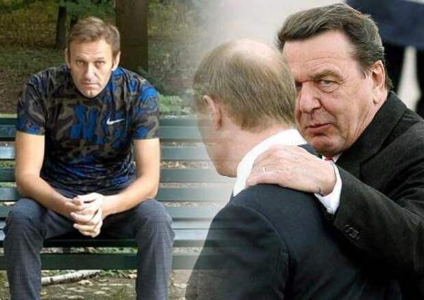 Эксперты из Германии считают, что Навальный пожалеет о своем интервью СМИ