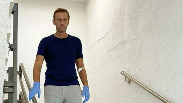 Западная проститутка Навальный стоит перед сложнейшим выбором