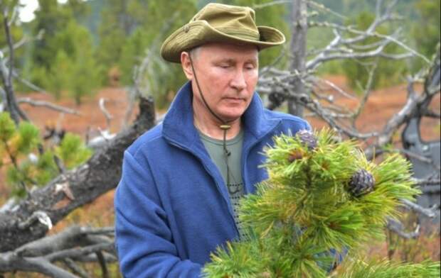 Владимир Владимирович, вы думаете о том же, о чем и я?: Как же Китай будет жить без русского леса?...