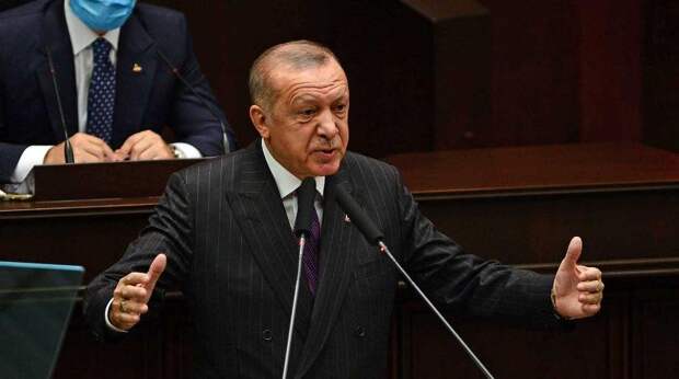 Красный свет для Эрдогана: в арабском мире предвидят изменение российско-турецких отношений