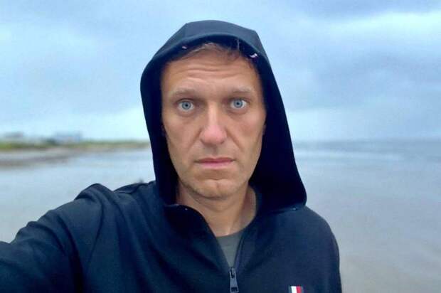 «Этот парень – лишь мелкий раздражитель»: канадцы оценили блогера Навального