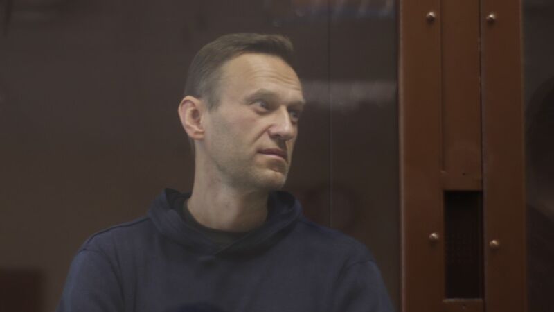 Соболь и Певчих помешают Юлии Навальной возглавить протест
