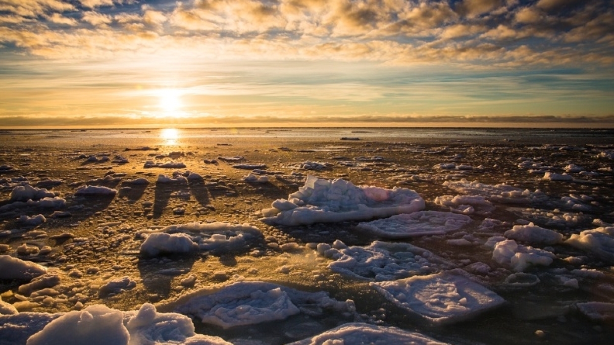Экономист рассказал, какие выгоды получит Россия от развития Арктики