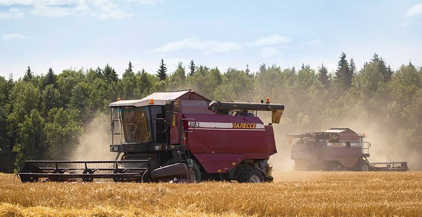 В Белоруссии – настоящая битва за урожай. Это – вопрос продбезопасности