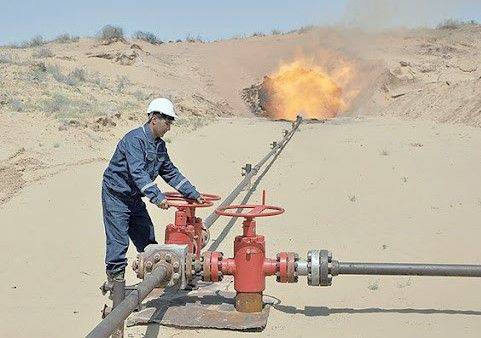 Какую роль сыграет туркменский газ в Объединенной энергетической системе ЦА